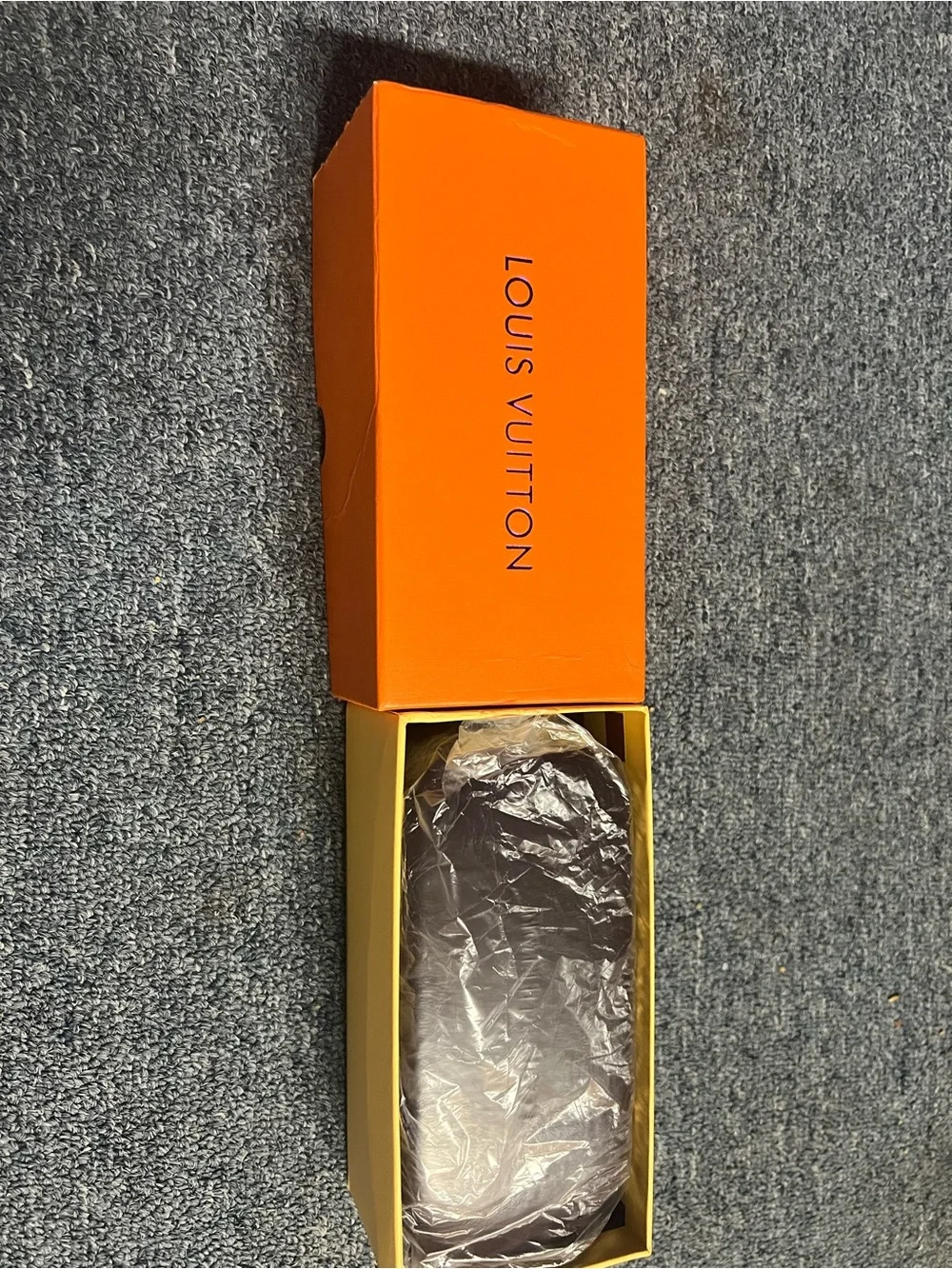 Louis Vuitton bold louis